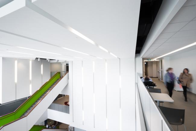 BIM建筑|跨界交换空间——西安粗略年夜学护理学院与信息媒体研讨院讲授楼