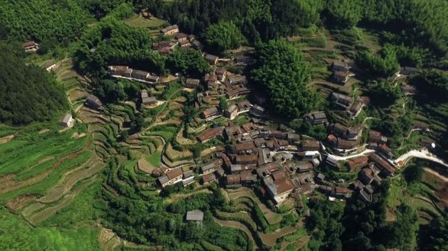 BIM建筑|飞蔦集 • 松阳陈家展，浙江 / gad · line+ studio