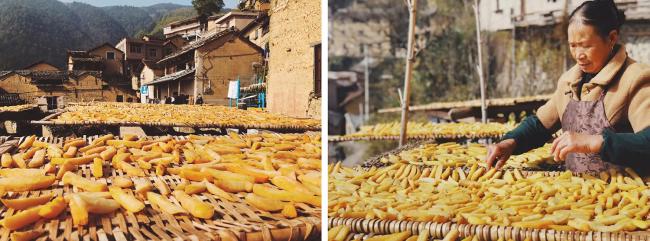 BIM建筑|飞蔦集 • 松阳陈家展，浙江 / gad · line+ studio