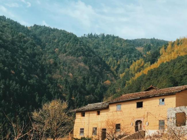 BIM建筑|飞蔦集 • 松阳陈家展，浙江 / gad · line+ studio