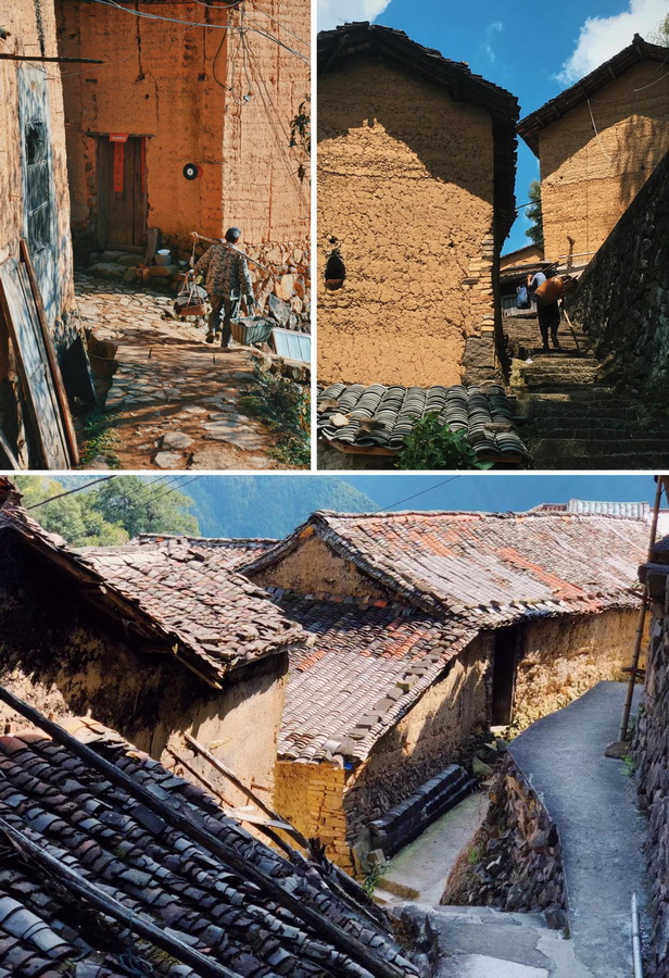 BIM建筑|飞蔦集 • 松阳陈家展，浙江 / gad · line+ studio