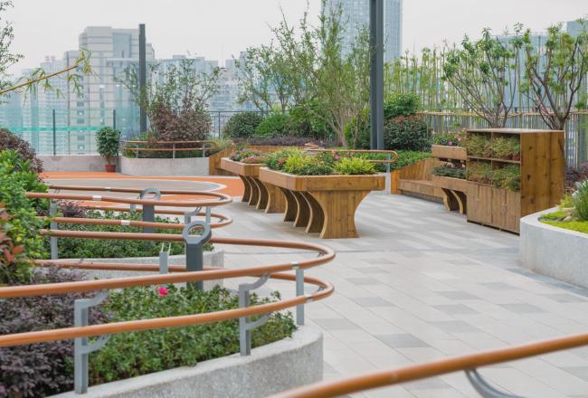 BIM建筑|善意景不雅，颐居乐土——重庆龙湖颐年公寓康复花圃 | GVL怡境国际设计团体+张玲