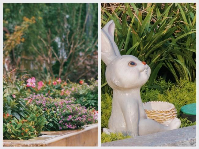 BIM建筑|善意景不雅，颐居乐土——重庆龙湖颐年公寓康复花圃 | GVL怡境国际设计团体+张玲