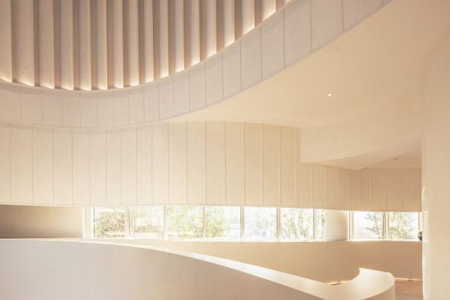 BIM建筑|展翅而飞的鹰：武汉朗廷元著生涯方法体验馆 / 成执建筑