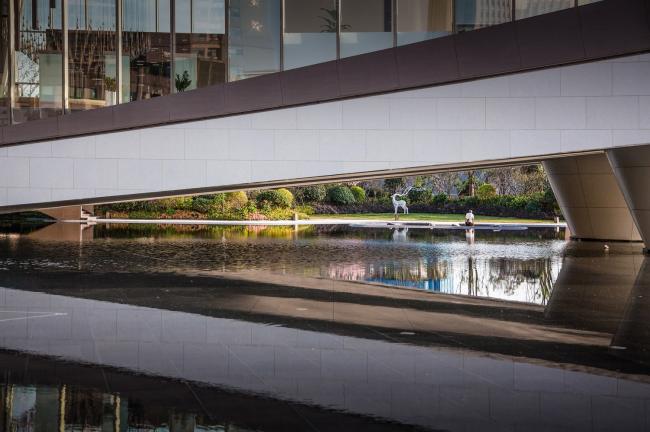 BIM建筑|展翅而飞的鹰：武汉朗廷元著生涯方法体验馆 / 成执建筑