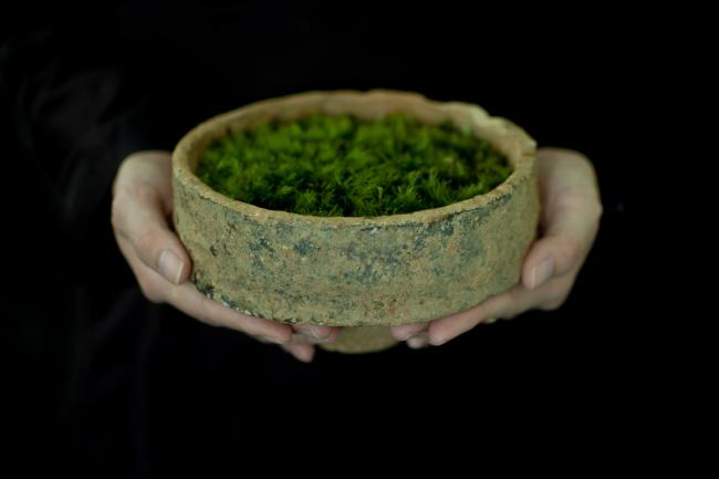 BIM建筑|溪边栖居水月馆——景德镇三宝蓬陶瓷设计中间