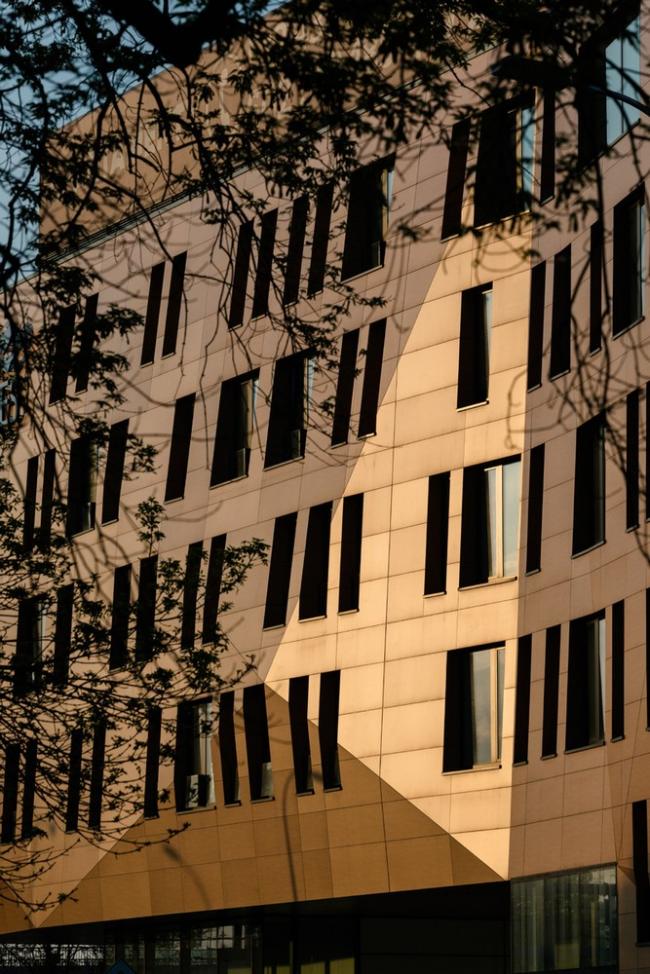 BIM建筑|如潮汐般曲意活动：潮汐和华沙荡舟协会年夜楼