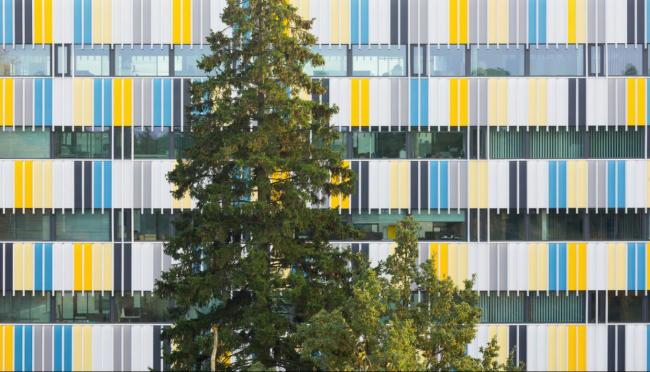 BIM建筑|与蓝天低语的多彩幕布：埃文特斯商务花圃 / Arkkitehtitoimisto HKP