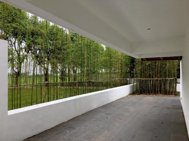 BIM建筑|从雕塑到花圃——江苏昆山计家墩村平易近中间改革