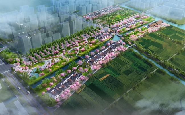 BIM建筑|上海樱花小镇项目激发中国城中村改革新的变更 / winwin设计