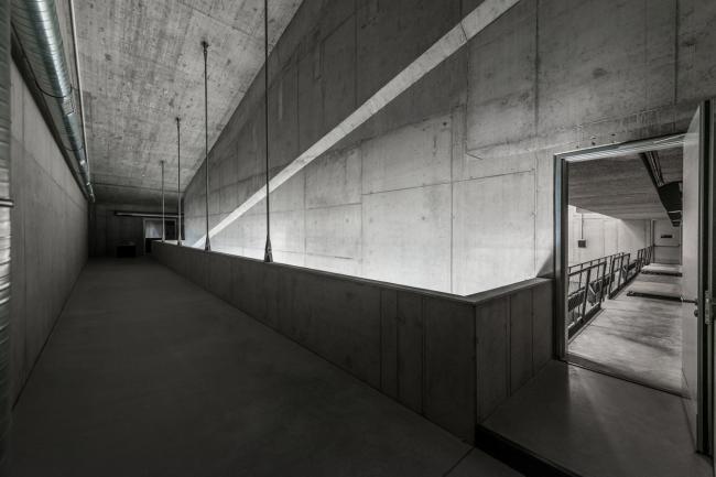 BIM建筑|外表柔嫩的混凝土建筑：DOX+ 今世艺术中间 / Petr Hajek Architekti