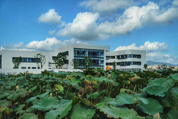 BIM建筑|孩子们的建筑玩伴—浙江“风车”幼儿园