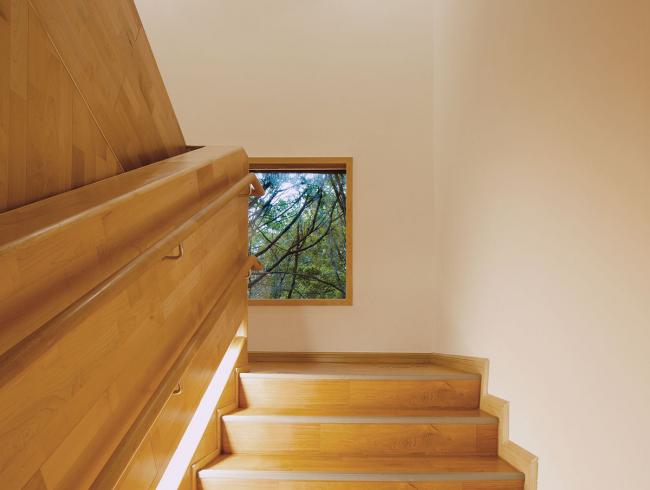 BIM建筑|打造儿童标准成漫空间—深圳IBOBI国际幼儿园