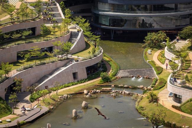 BIM建筑|仿若身处绿色稻田办公，科技彰显天然气力的泰坦办公中间