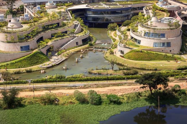 BIM建筑|仿若身处绿色稻田办公，科技彰显天然气力的泰坦办公中间