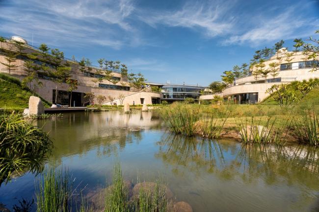 BIM建筑|仿若身处绿色稻田办公，科技彰显天然气力的泰坦办公中间