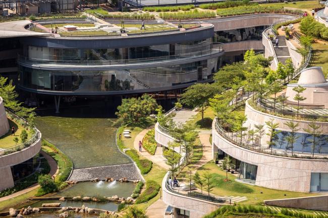 BIM建筑|仿若身处绿色稻田办公，科技彰显天然气力的泰坦办公中间