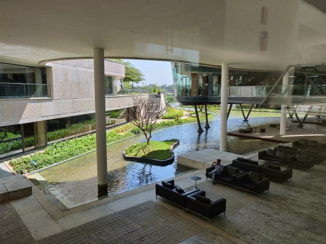 BIM建筑|仿若身处绿色稻田办公，科技彰显天然气力的泰坦办公中间