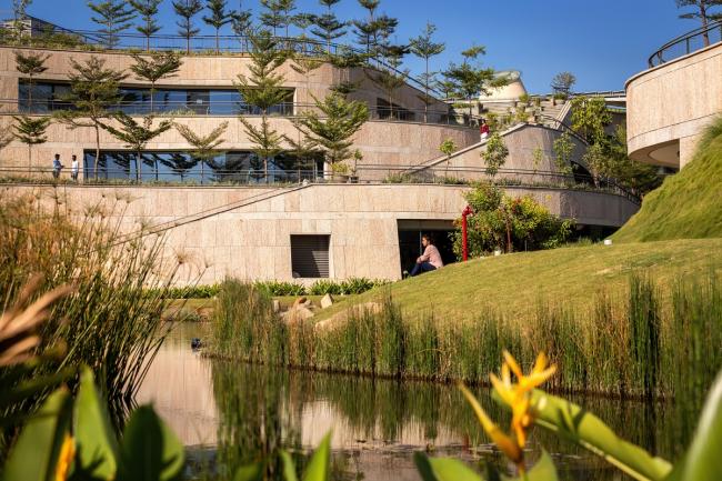 BIM建筑|仿若身处绿色稻田办公，科技彰显天然气力的泰坦办公中间