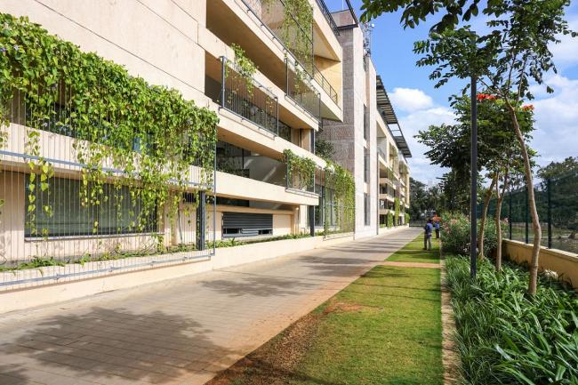 BIM建筑|仿若身处绿色稻田办公，科技彰显天然气力的泰坦办公中间