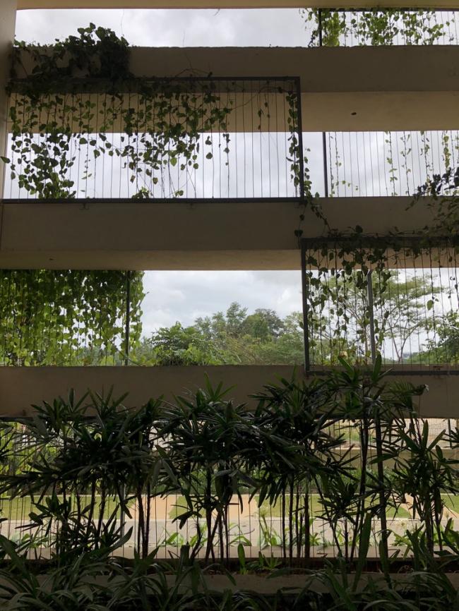 BIM建筑|仿若身处绿色稻田办公，科技彰显天然气力的泰坦办公中间