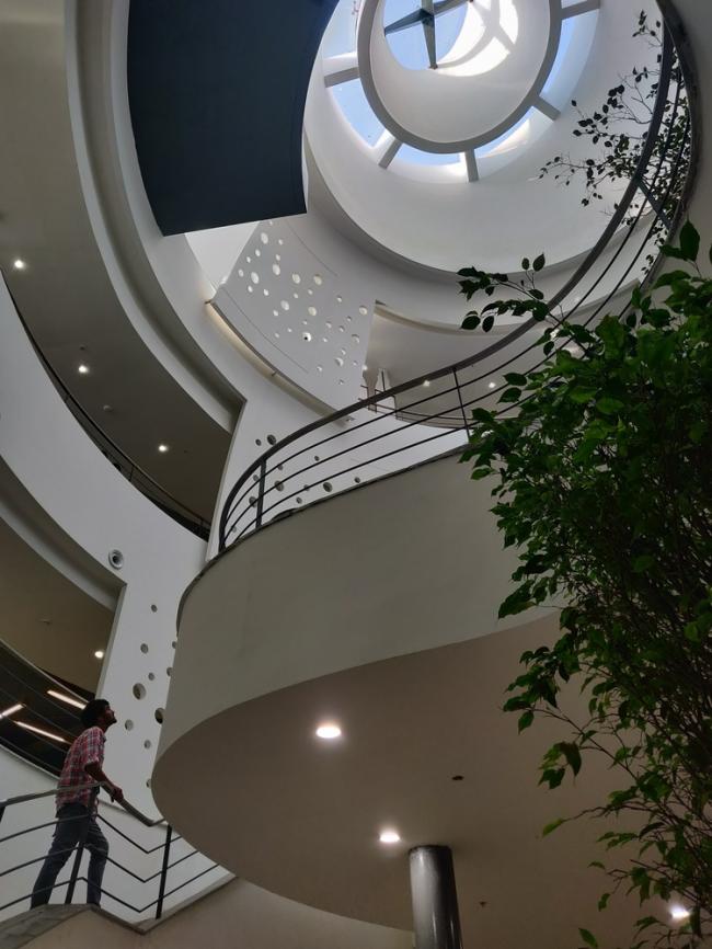 BIM建筑|仿若身处绿色稻田办公，科技彰显天然气力的泰坦办公中间