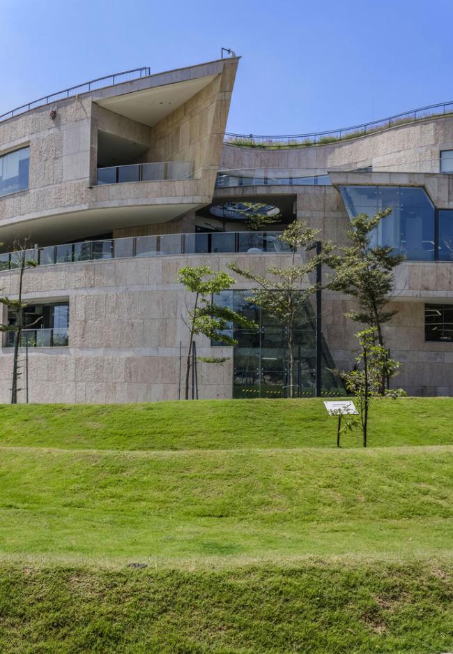 BIM建筑|仿若身处绿色稻田办公，科技彰显天然气力的泰坦办公中间