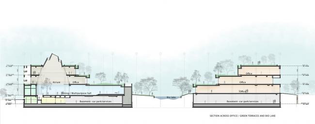 BIM建筑|仿若身处绿色稻田办公，科技彰显天然气力的泰坦办公中间