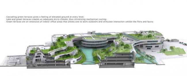 BIM建筑|仿若身处绿色稻田办公，科技彰显天然气力的泰坦办公中间
