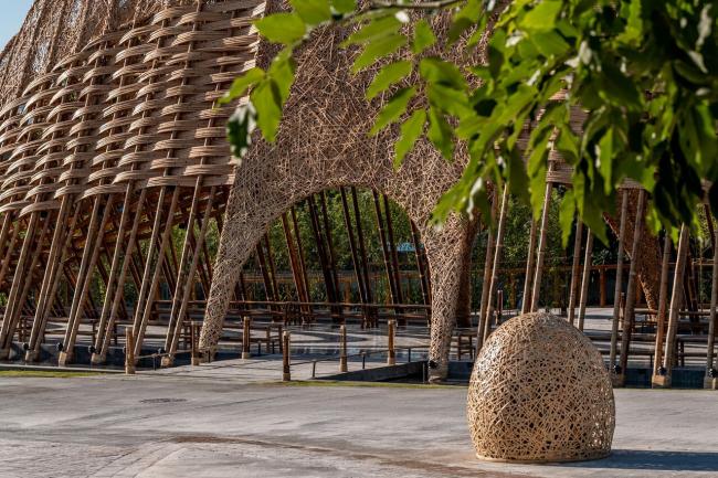 BIM建筑|似山脉更似殿堂，天然性与典礼感并存的台湾竹之亭