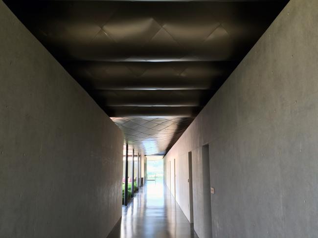 BIM建筑|升沉不定的屋顶隐喻山脉的绵延不停，智利维基酒店