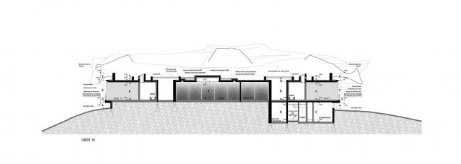 BIM建筑|升沉不定的屋顶隐喻山脉的绵延不停，智利维基酒店
