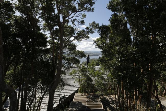 BIM建筑|逃离都会，来一次密林山野的得闲时间：卡斯特罗酒店度假村