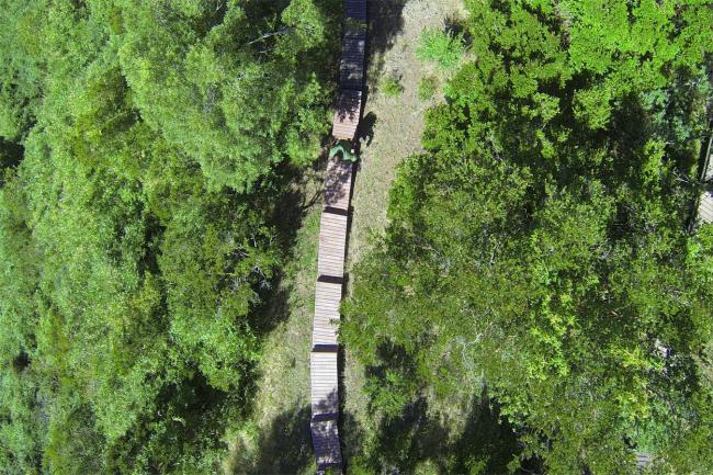 BIM建筑|逃离都会，来一次密林山野的得闲时间：卡斯特罗酒店度假村