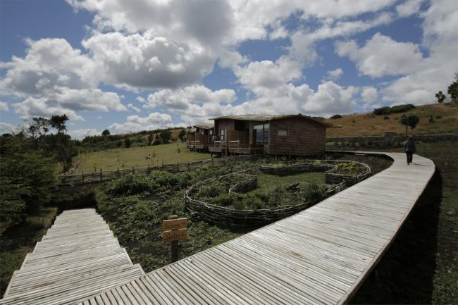 BIM建筑|逃离都会，来一次密林山野的得闲时间：卡斯特罗酒店度假村