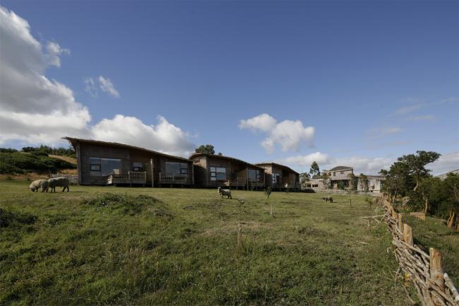 BIM建筑|逃离都会，来一次密林山野的得闲时间：卡斯特罗酒店度假村