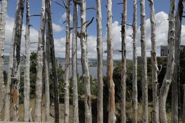 BIM建筑|逃离都会，来一次密林山野的得闲时间：卡斯特罗酒店度假村