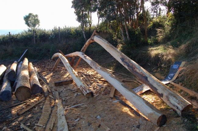 BIM建筑|逃离都会，来一次密林山野的得闲时间：卡斯特罗酒店度假村