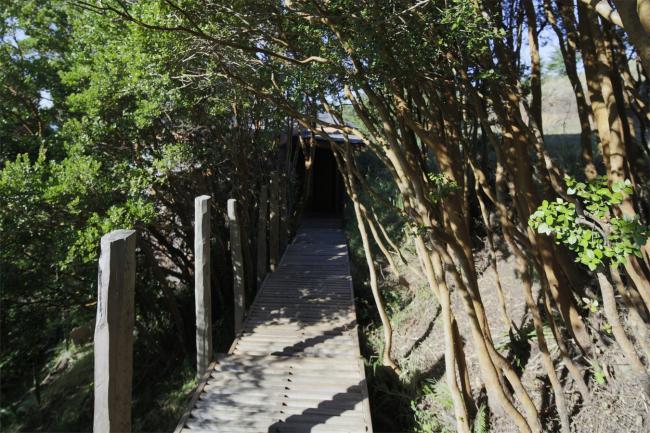 BIM建筑|逃离都会，来一次密林山野的得闲时间：卡斯特罗酒店度假村