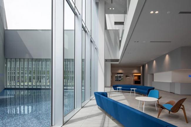 BIM建筑|浅水池边的半透明展现馆