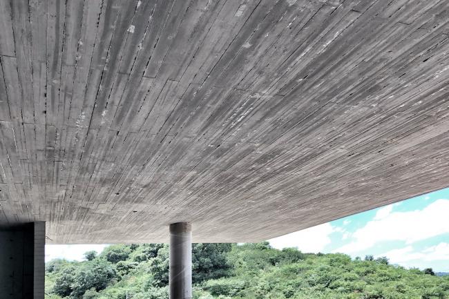 BIM建筑|渔乡茶舍——富春江干的时间秘境 | gad · line+ studio