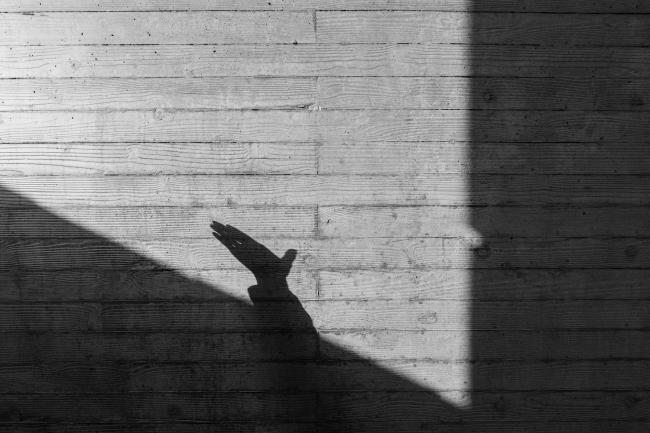 BIM建筑|渔乡茶舍——富春江干的时间秘境 | gad · line+ studio