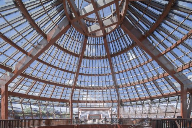 BIM建筑|上海松江广富林遗址文化展现馆 / 悉地国际（深圳）