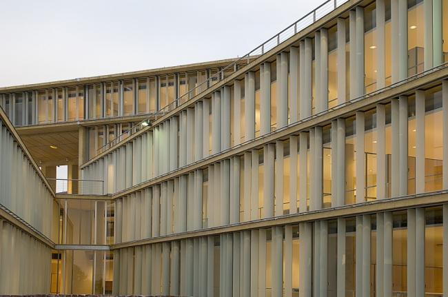 BIM建筑|多层级的体块嵌套，长方体量新的打开方法：市政办公中间年夜楼