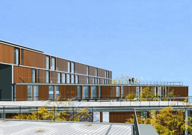 BIM建筑|多层级的体块嵌套，长方体量新的打开方法：市政办公中间年夜楼