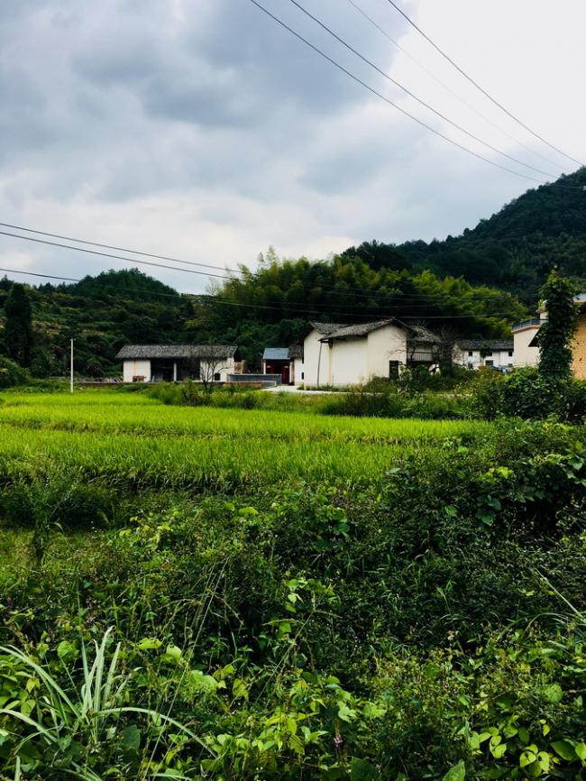 BIM建筑|栖于山麓——乡建新平易近居摸索 | 铭鼎空间艺术工作室