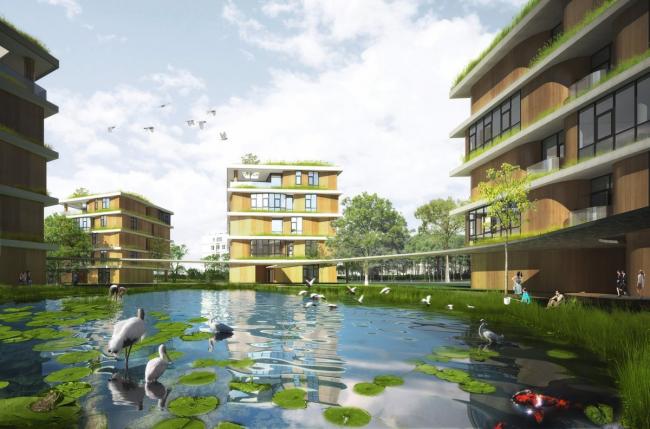 BIM建筑|OPEN 颁布上海青浦温和双语黉舍施工图，为分歧年纪孩子设计“聚落校园”