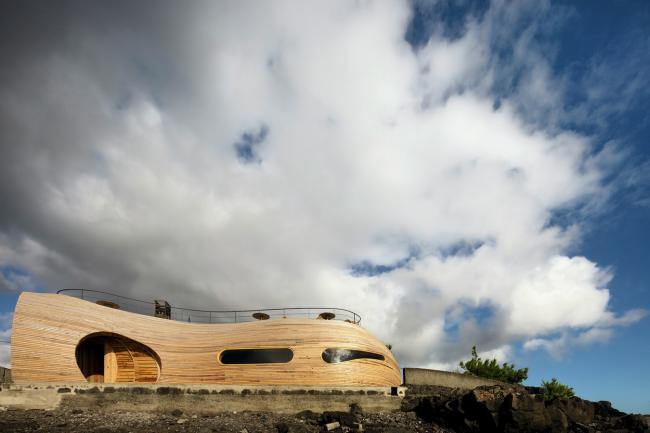 BIM建筑|海岛餐厅酒店——岩石，酒桶和鲸鱼拟态的想象力融会之作
