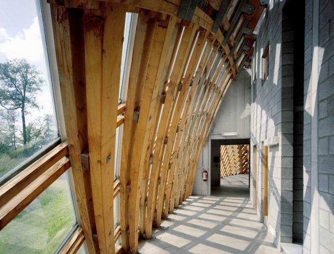 BIM建筑|一颗嵌进年夜地的琉璃鹅卵石——比利时品牌木材产业基地