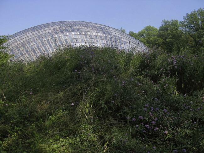 BIM建筑|一颗嵌进年夜地的琉璃鹅卵石——比利时品牌木材产业基地